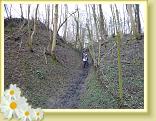 Cassel_Reco (15)